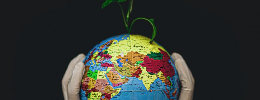 A globe with a sprouting plant coming out of the top, being held up by someone with latex gloves.