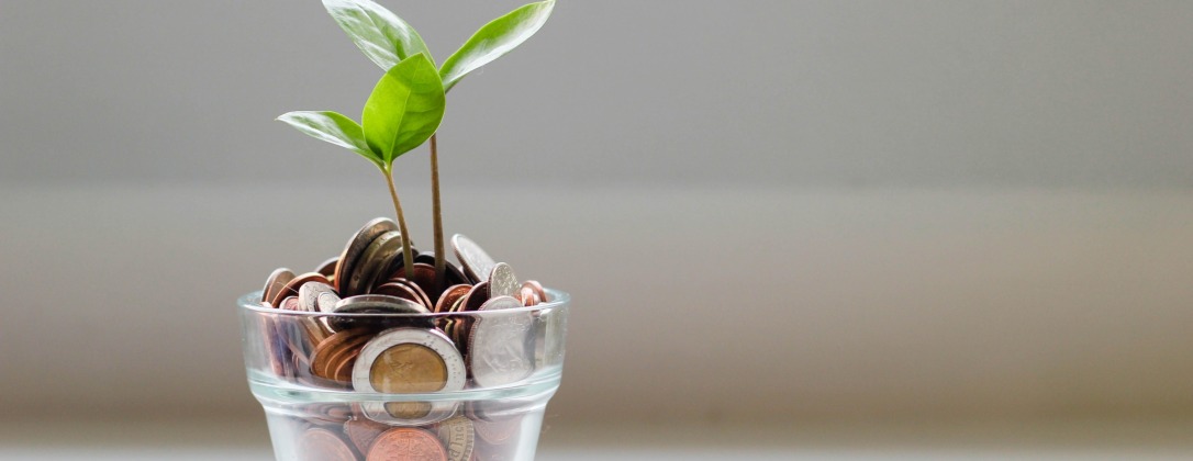 a sprouting plant growing through a glass of pennies.
