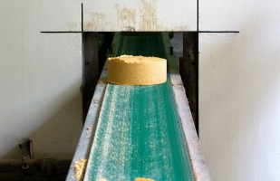 food manufacturing plant with rolls of cheese on a conveyor belt. 